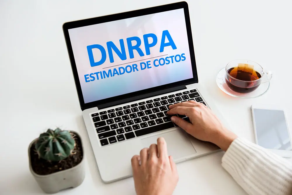 estimador de costos dnrpa motos - Cuál es el valor declarado de una moto