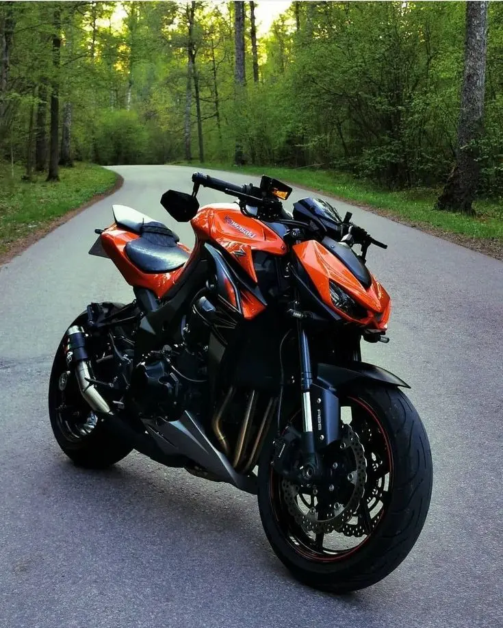 kawasaki motos z1000 - Cuánto pesa la Z 1000