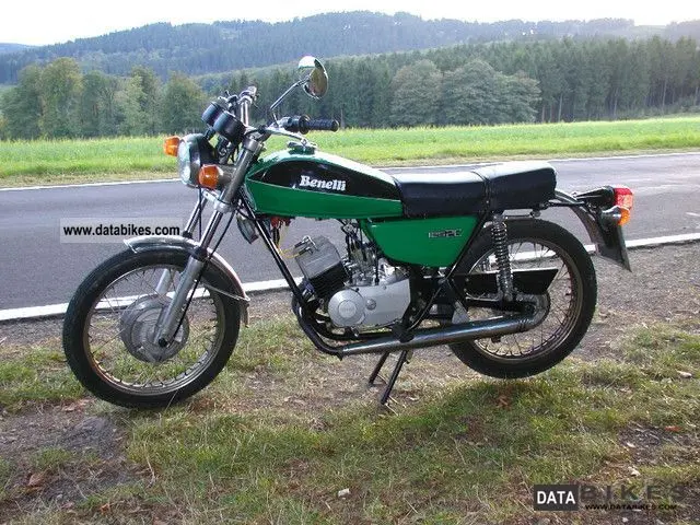 motos zanella andina - Qué motor tiene la Zanella Sapucai