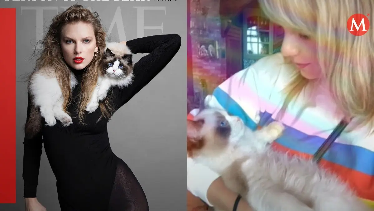 taylor swift motocicleta - Qué raza es el gato de Taylor Swift